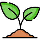 You lock in growth + income with zero market risk